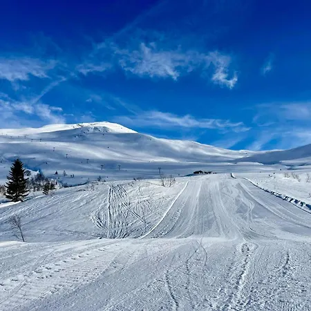 فندق مبيت وإفطار Huset Vart Hornindal